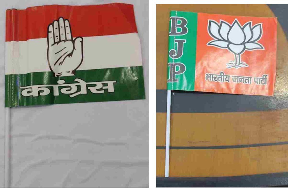 Paper Hand Flag (BJP / Congress)
