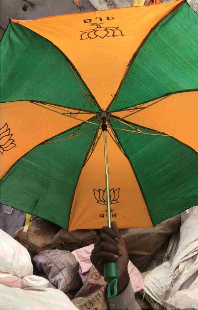 Umbrella